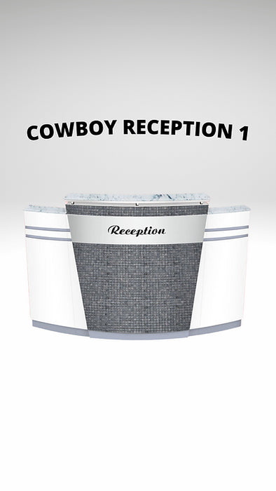 Recepción de vaqueros 1